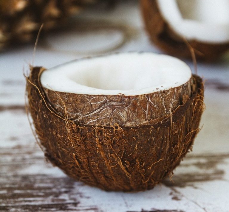 coconut, shell, coconut oil-2592257.jpg